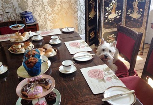 Glendevon Central Bed And Breakfast Edinburgh Dış mekan fotoğraf
